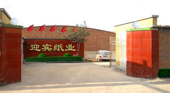 满城县迎宾纸业 匠心打造绿色纸品，服务百姓洁净生活